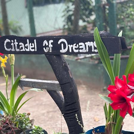 Citadel Of Dreams Ella Apartment Екстериор снимка